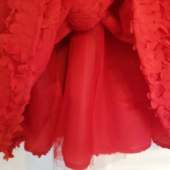 H&M Red Floral Applique Full Skirt Dress 2 - Picture 4 of 7